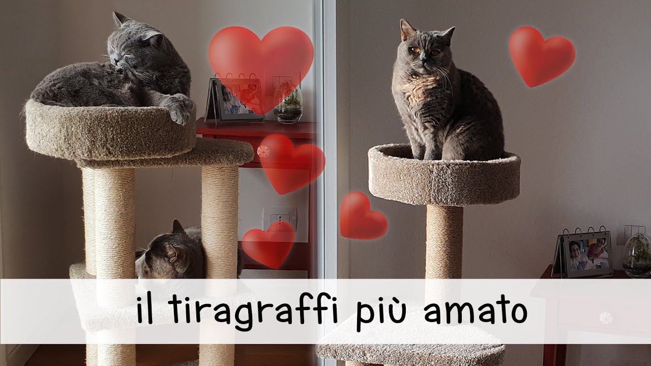 Il tiragraffi pi&ugrave; amato