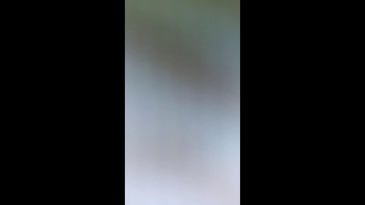 온라인게임 거상 방항하는.    사슴