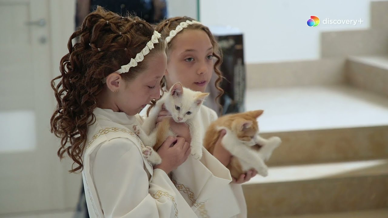 La comunione di Emily e Carmen: "L'ostia sa di carta!" | Il castello delle cerimonie