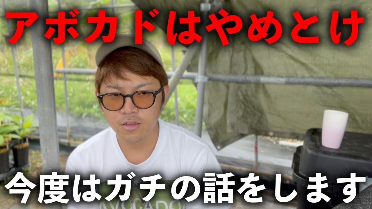 【今度はガチです】アボカドやめとけ