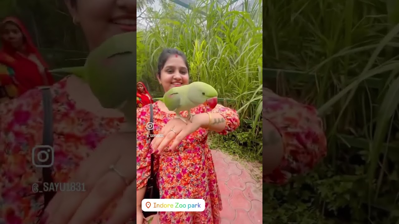 #indore #indorezoo #zoo #birds #travel #nature #explore #india #shorts #youtubeshorts #trending