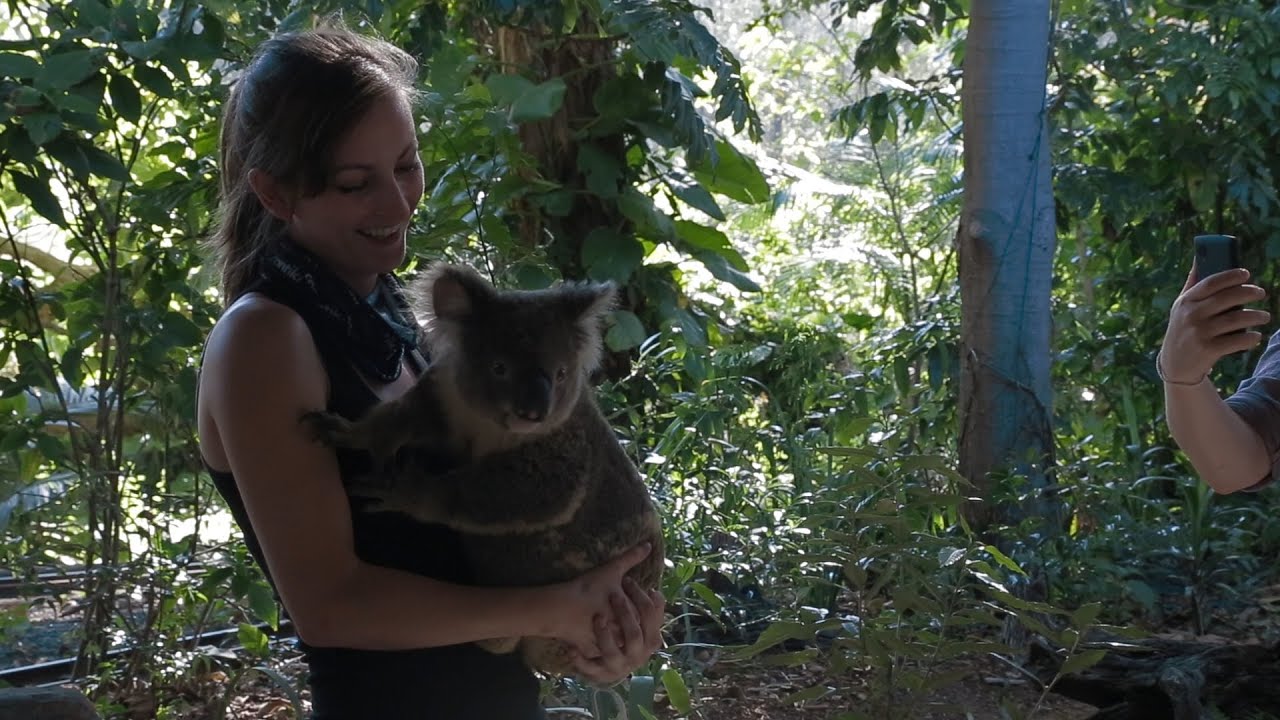 Vlogabout (Final Challenge, Holding Koalas, and Pranking Jesse)