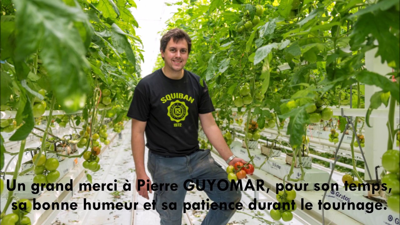 Interview Pierre GUYOMAR