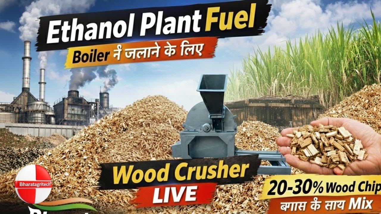 Wood Crusher Machine Live | Boiler Grade Sawdust for Ethanol Plant 