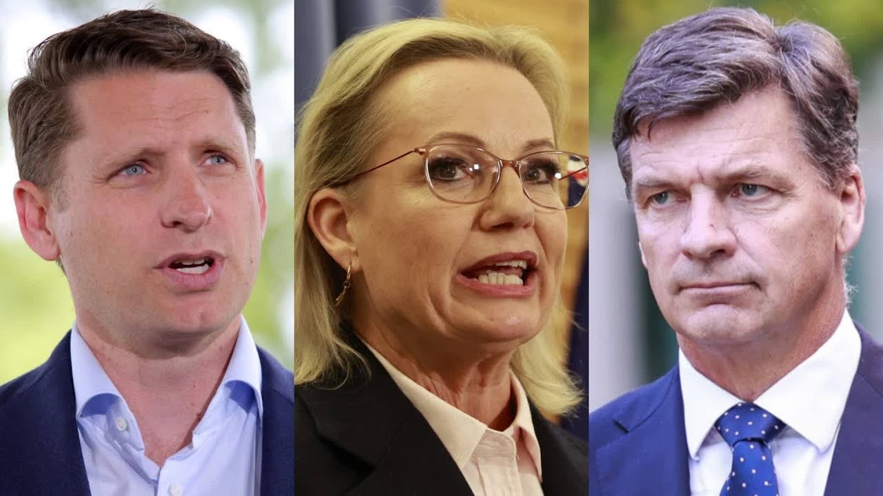 Liberal Party in &lsquo;diabolical trouble&rsquo; as leadership woes continue