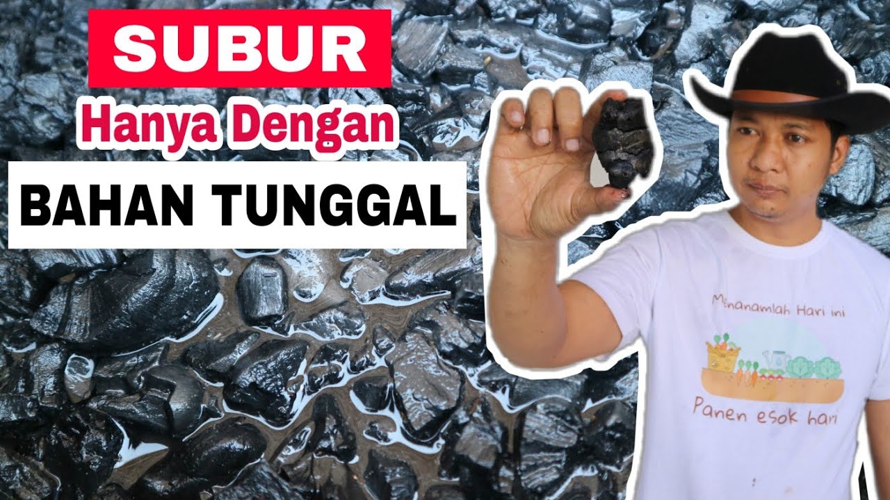 Fakta Mengejutkan!!! Hanya modal Arang bisa subur ????