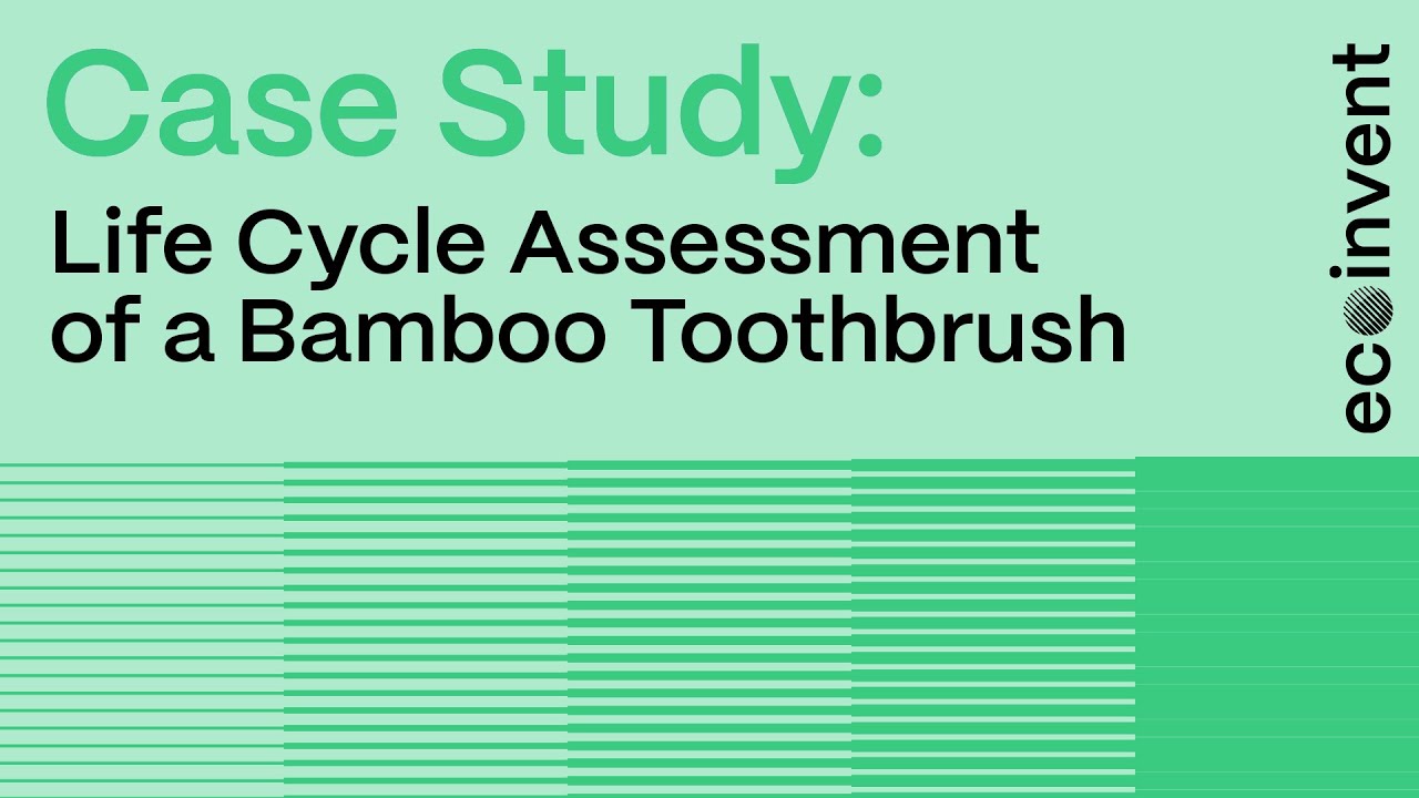 Case Study: Life Cycle Assessment of a Bamboo Toothbrush