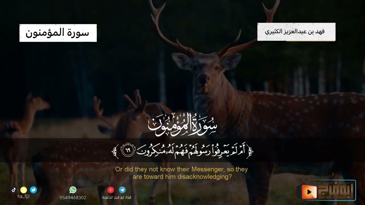تلاوة محبرة بديعة  للقارئ فهد بن عبدالعزيز الكثيري سورة المؤمنون كاملة مترجمة