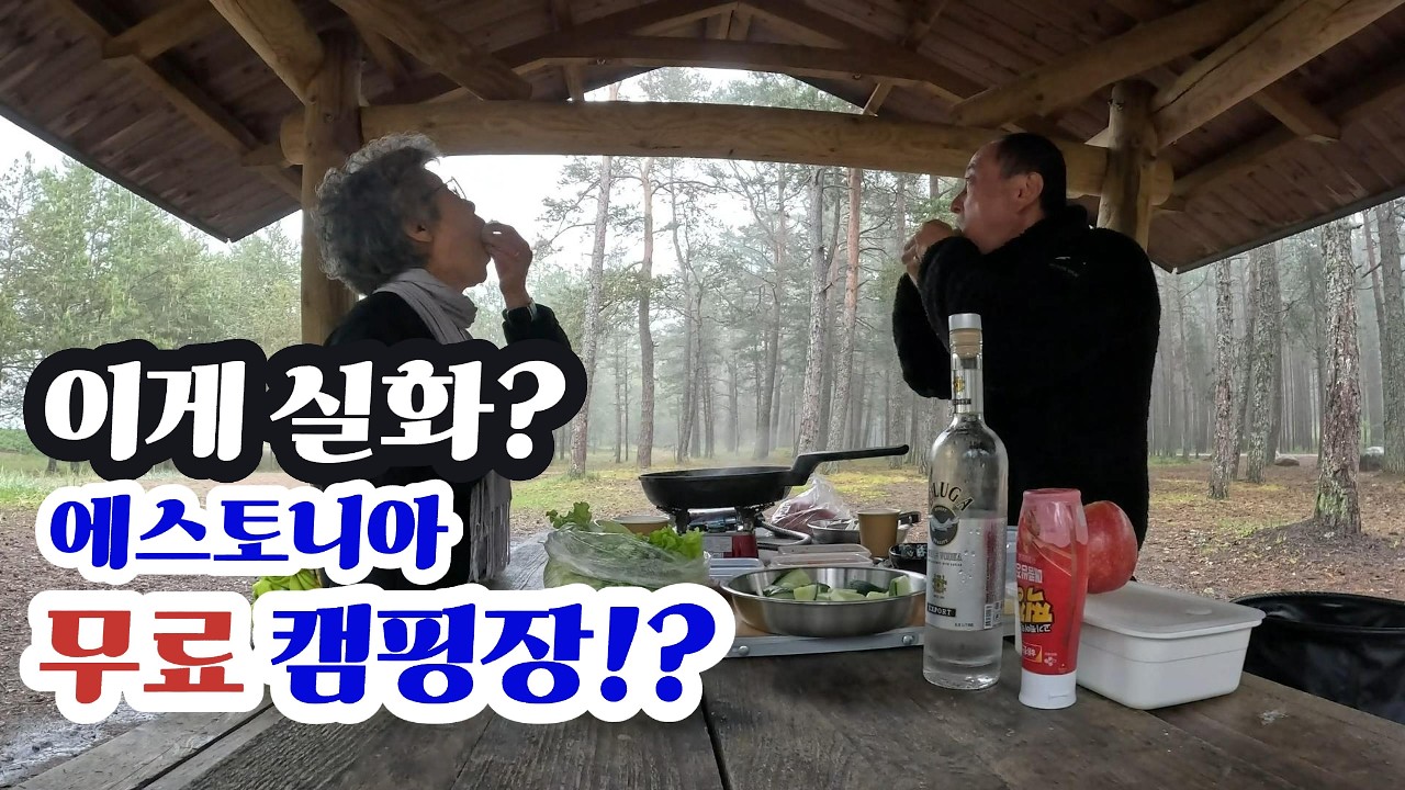 이게 무료 캠핑장 이라고?. 에스토니아 (0016)