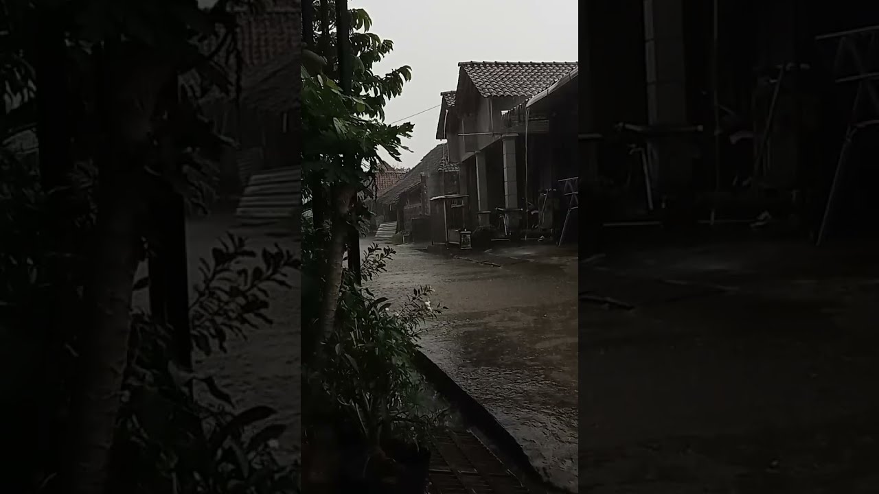 yudz saka 🔴 LIVE Village Rain Sounds for Deep Sleep, Study & Relax #rain #villagerain #naturesounds