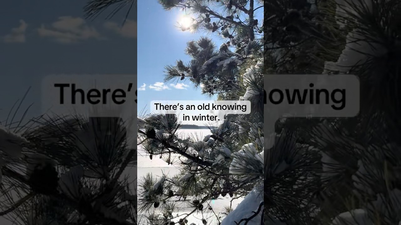 Why Old Trees Feel Different to Empaths 🌲 | Spirituality & Intuition