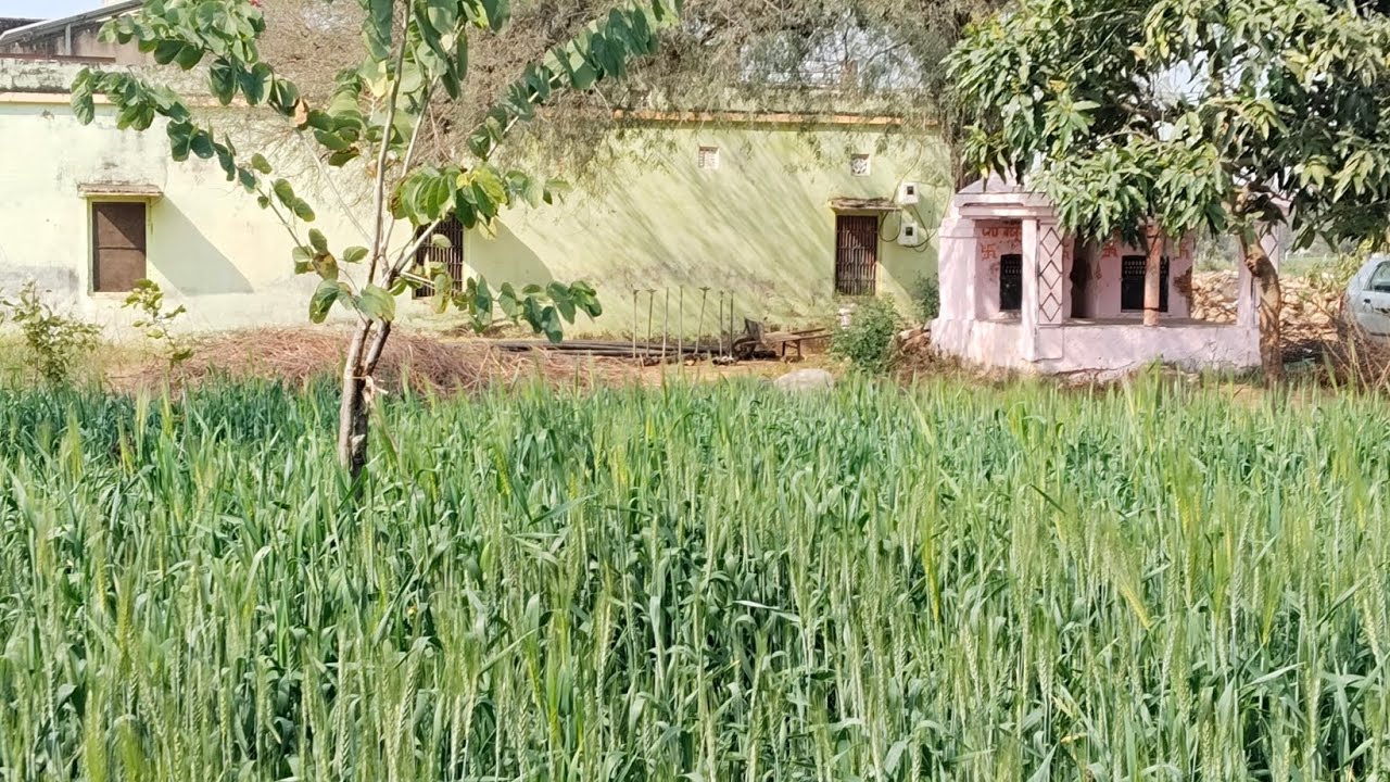 कठिन काम काश्तगरी// Banwari Lal Shivrayan // Febuary: 13 ,2026