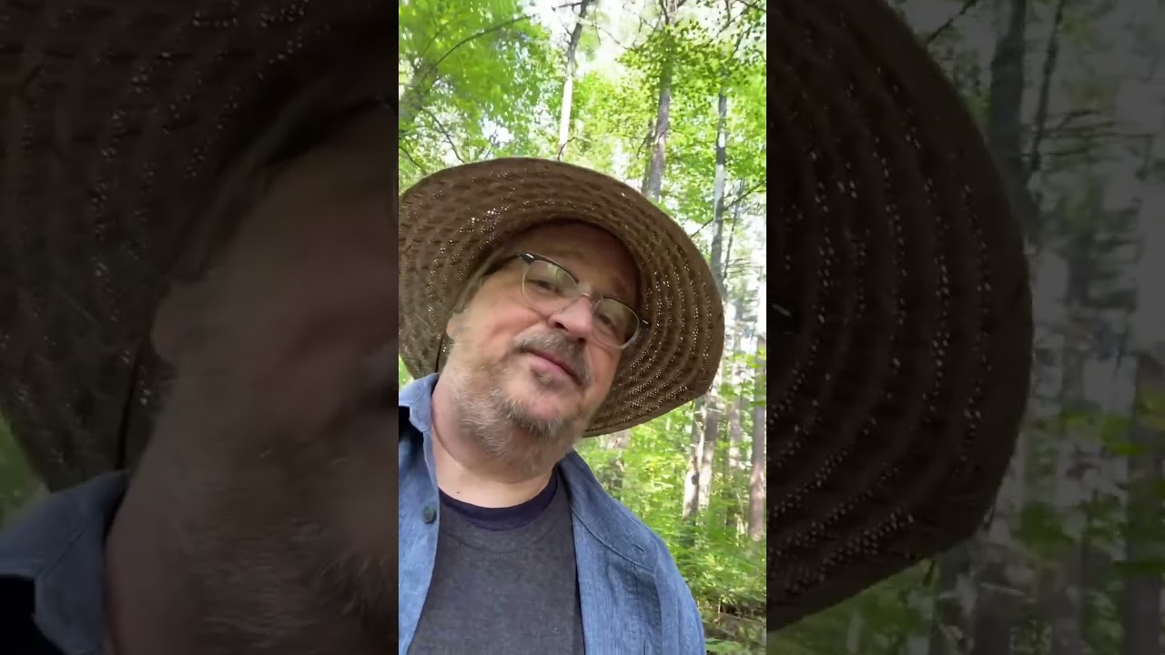 The Lost Forty: a Flute Meditation and Some Thoughts About this Sacred Place
