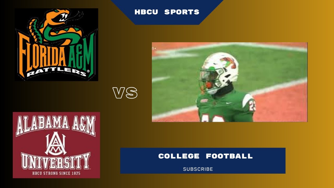 Alabama A&M bs Florida A&M NCAA Football 2024 Full Game Replay & Highlights