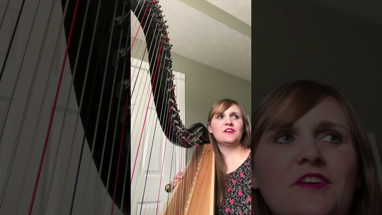 “Gabriel’s Oboe” by Ennio Morricone arrangement for harp by Angi Bemiss