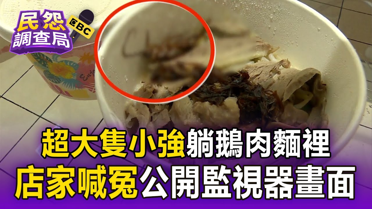 超大隻小強「躺鵝肉麵裡」消費者喊噁！店家查證監視器嗆：保留法律追訴權【民怨調查局】