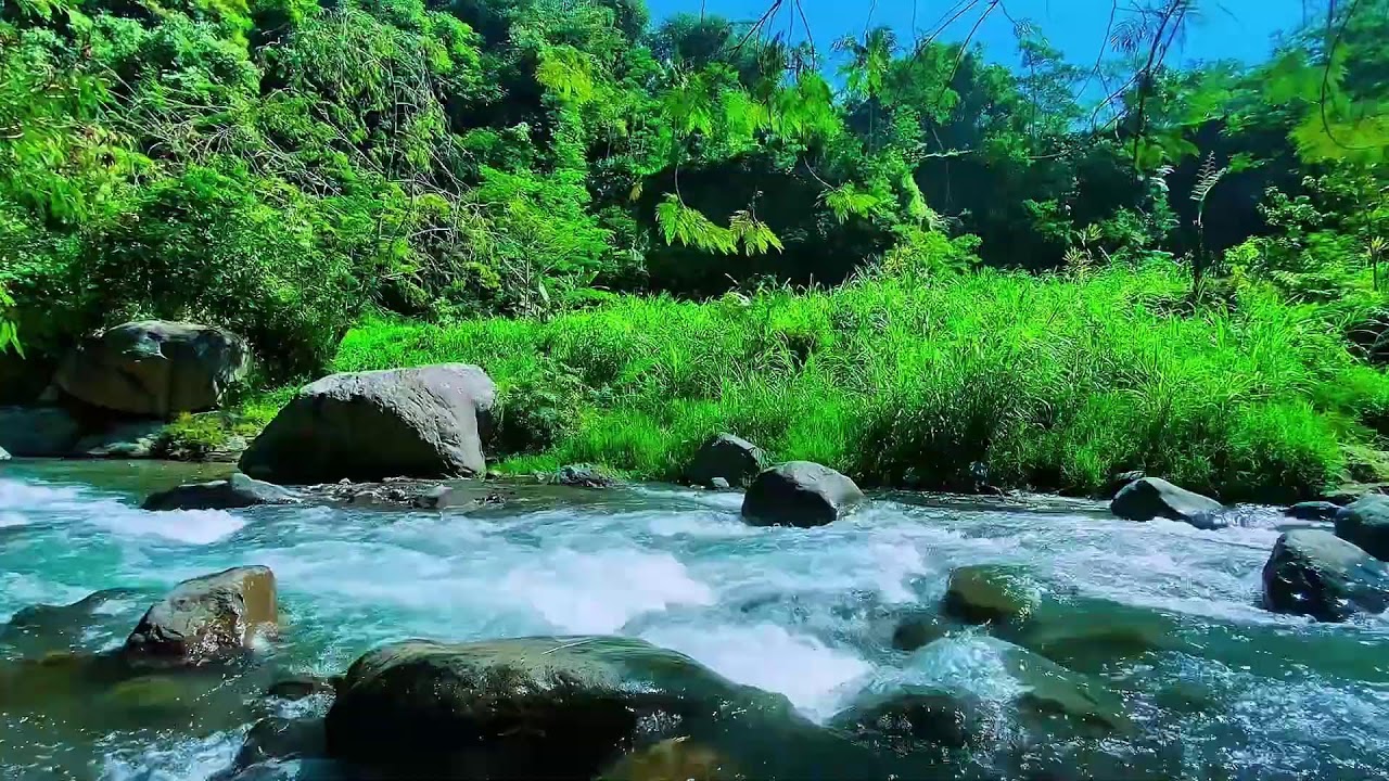 Mountain Stream Soft Water Flow, Forest River Audio, Sleeping