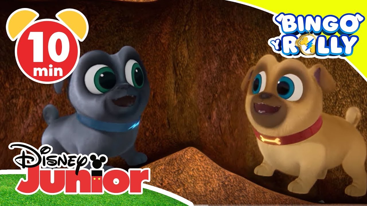 Bingo y Rolly: Las canciones de Bingo y Rolly | Disney Junior Oficial