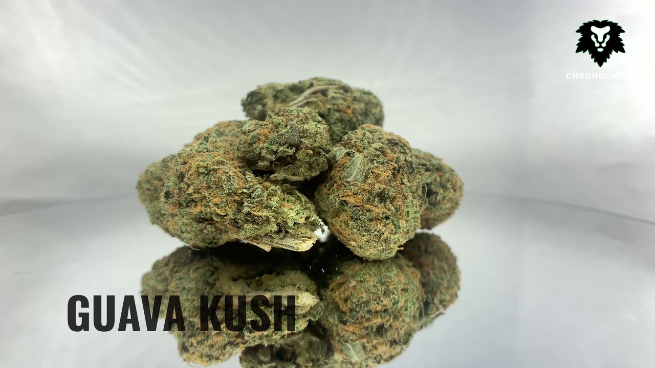 Chronic Haze - Guava Kush