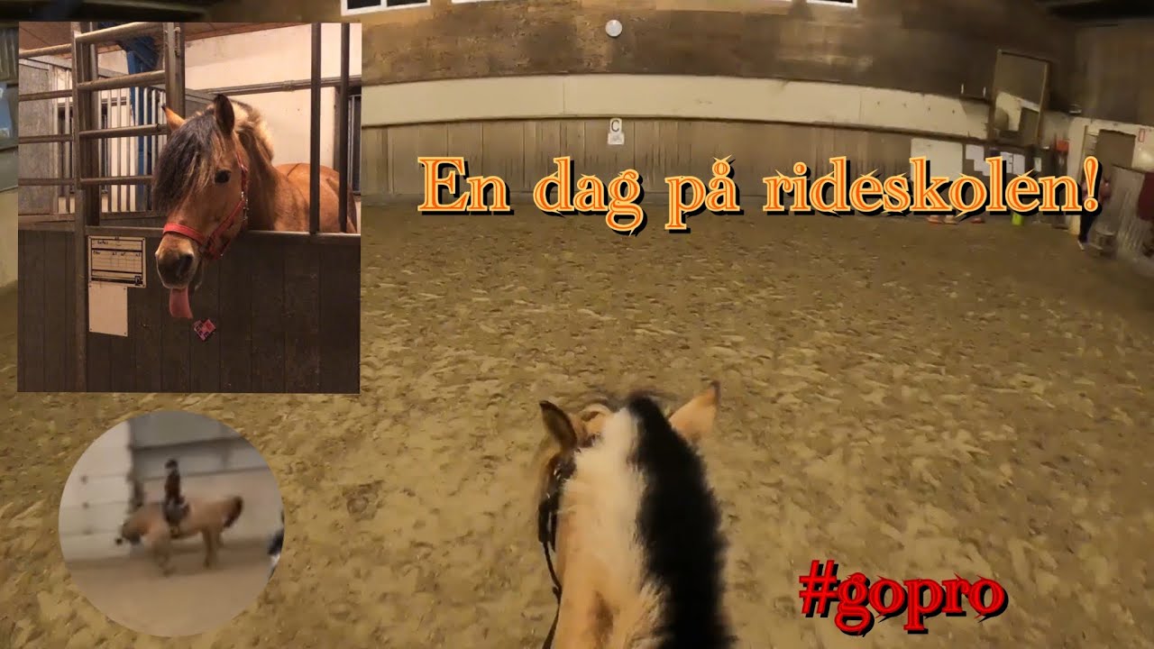 En dag på rideskolen #gopro