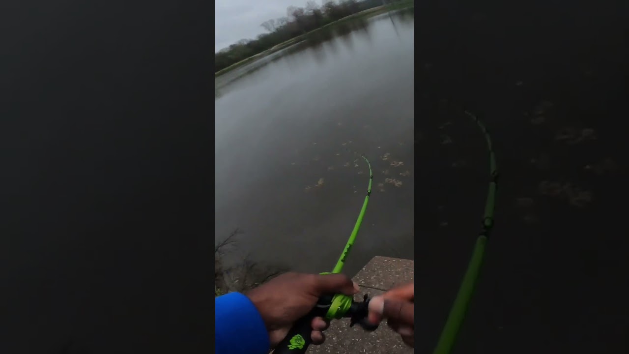 Bouncing a Slobber Knocker