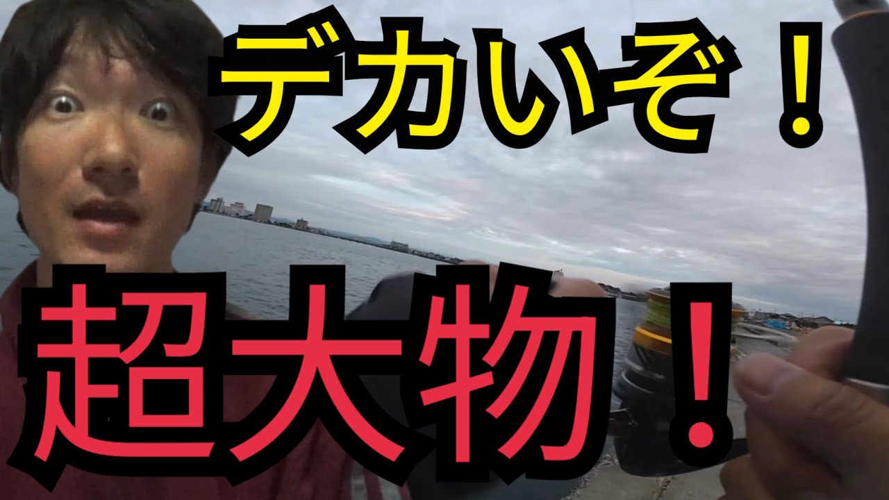 真冬の浜名湖の堤防でルアー釣りしたらマジでとんでもない大物が‼️