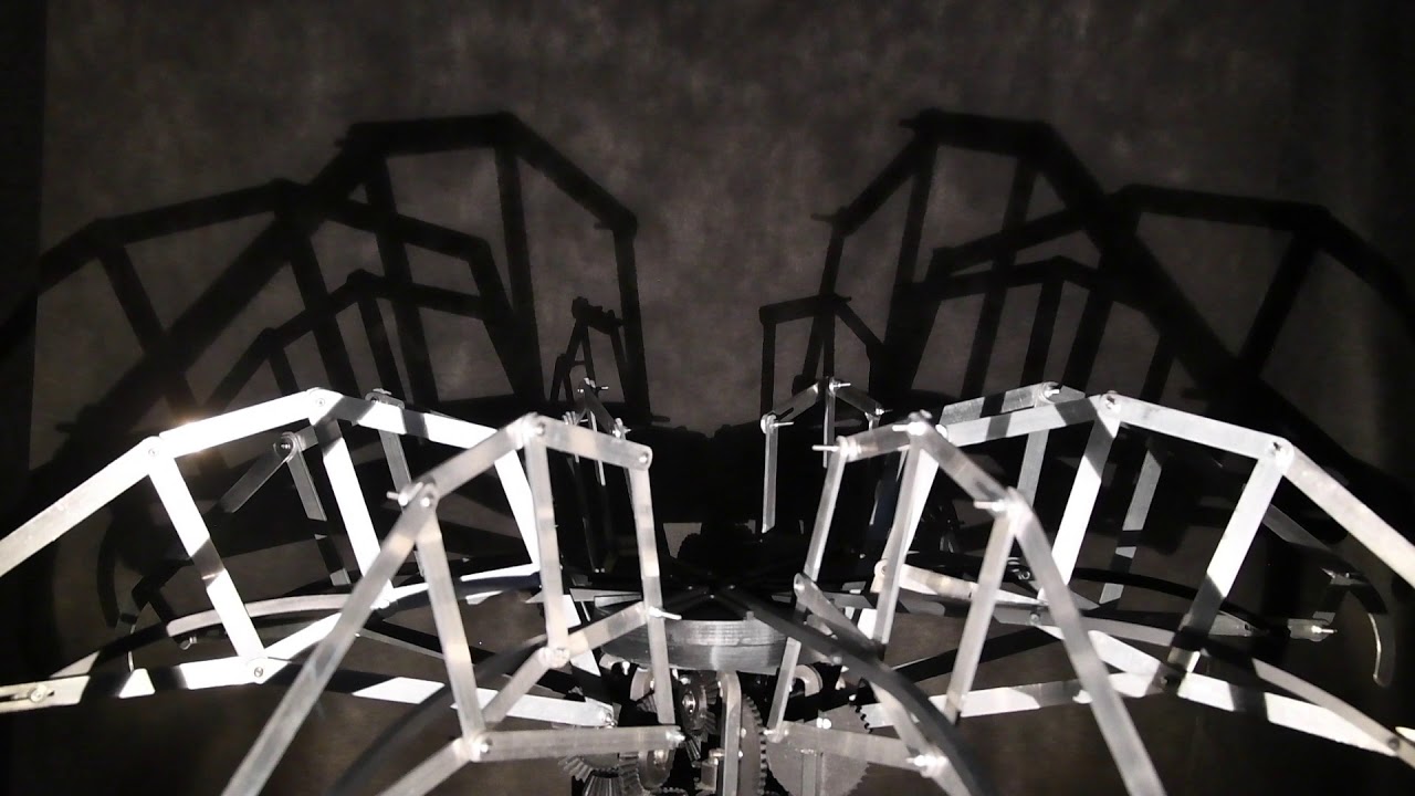 Gallery Zero: INSTAR, The Subumbrelllar (2021)