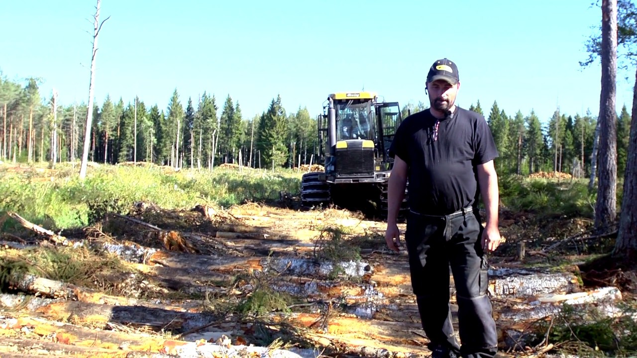Kavling (f&ouml;rdjupning till filmen Sp&aring;rl&ouml;s)