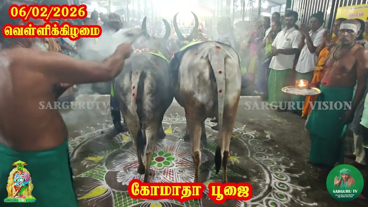 தை 22 (06-02-2026) கோமாதா பூஜை