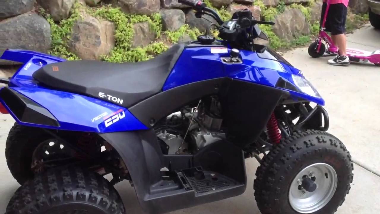2006 Eton Vector 250