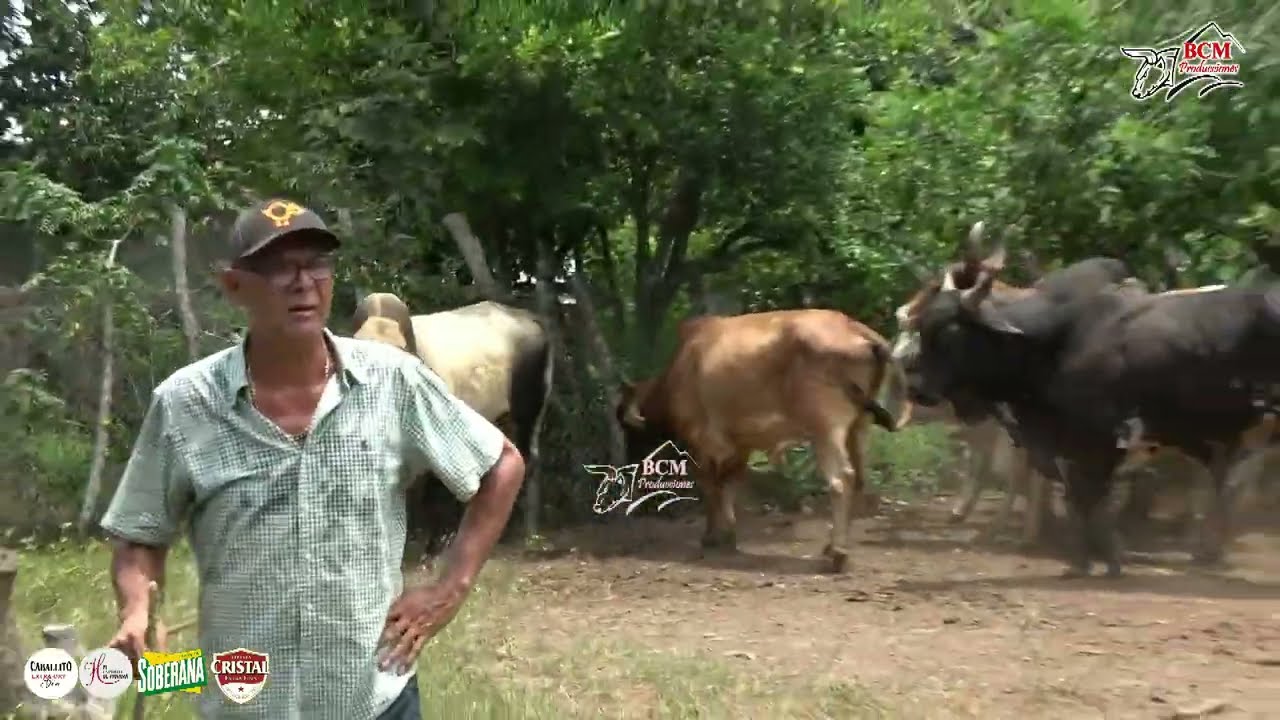 Ultimo día de Toros en Las Patronales de Monagrillo 2 de octubre de 2023. Iván Samaniego