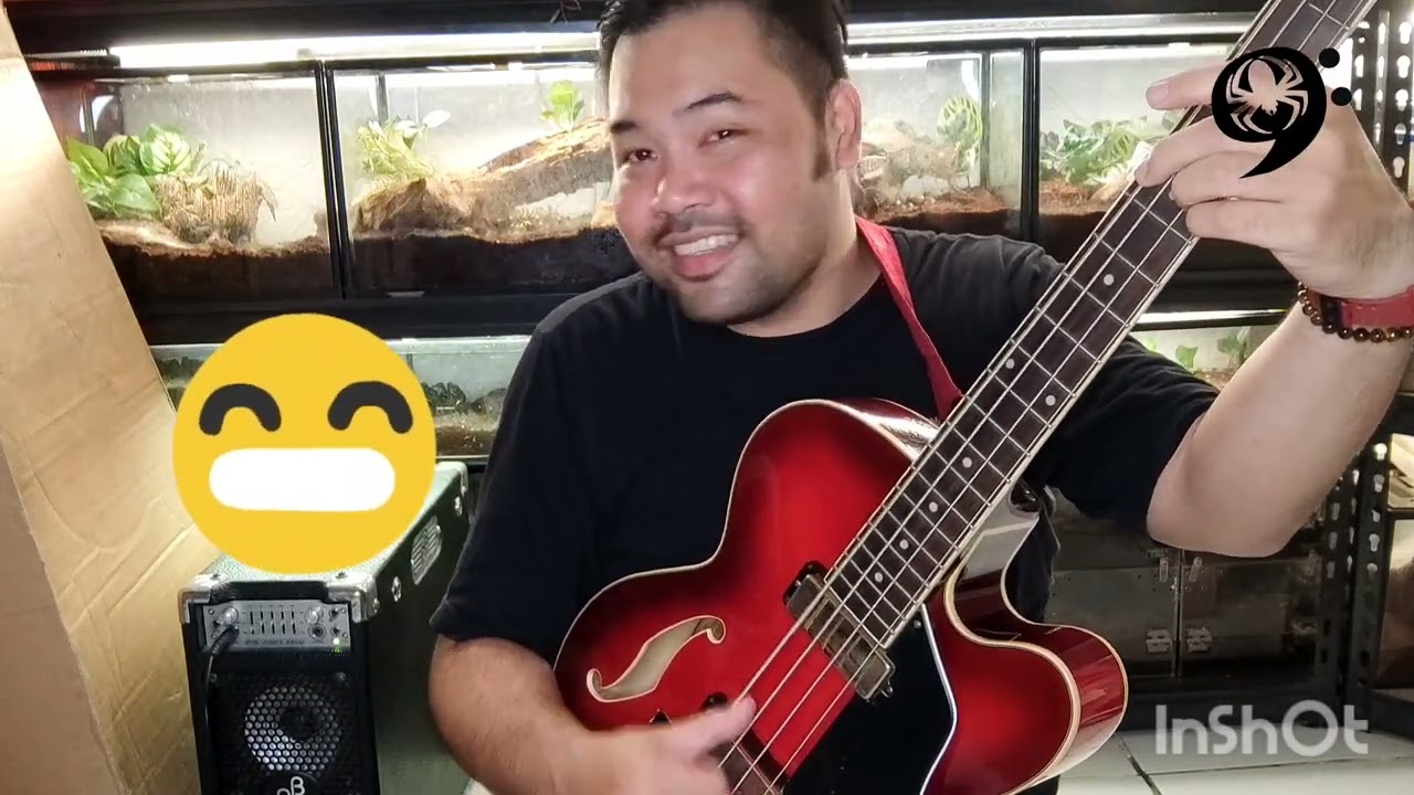 NBD!! Ibanez Artcore AFB200 bass short scale, hollow body.