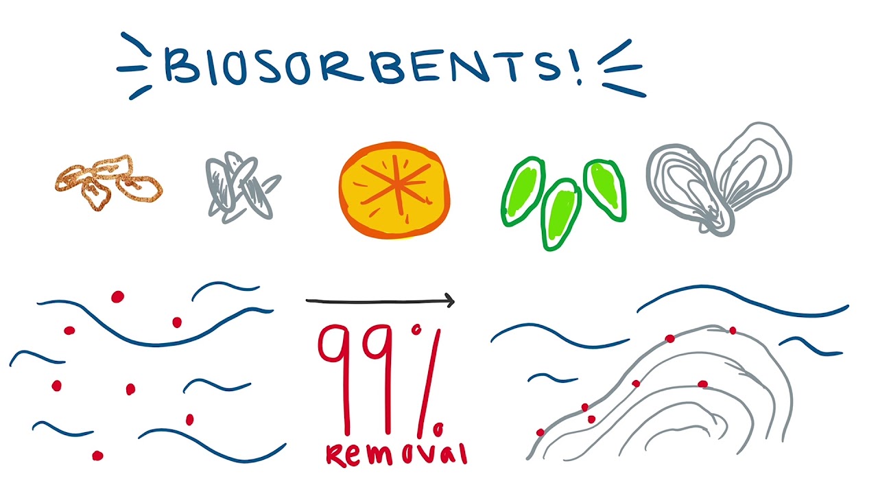 Biosorbents!