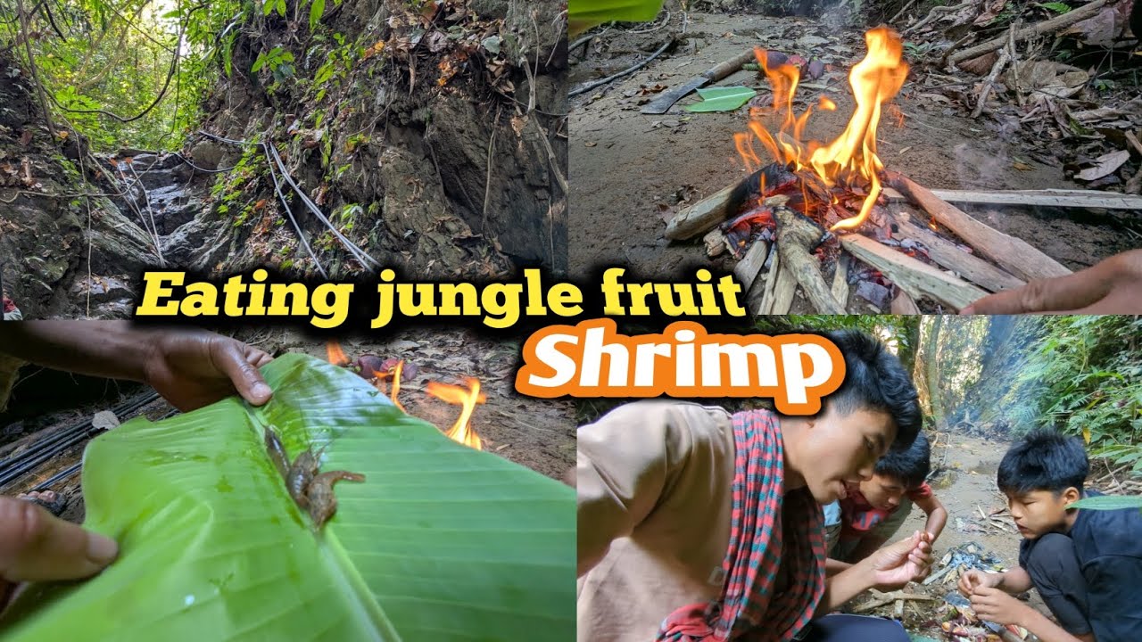 We survived in the jungle।।