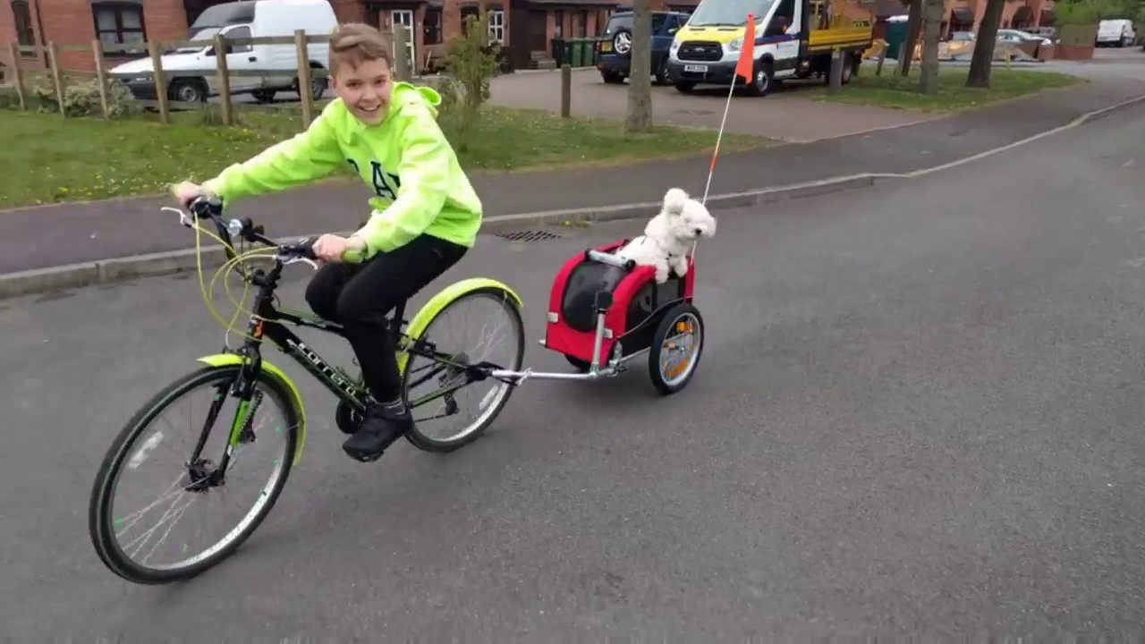 Testing the Trixie trailer with Jerry - bicycle dog trailer