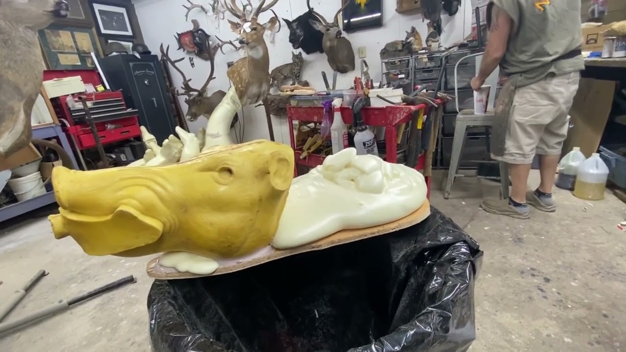 Taxidermy tip! Making a Wild Boar rug part 1