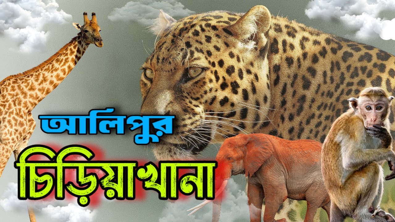 Alipore zoo ll কোলকাতা আলিপুর চিড়িয়াখানা ২০২৬ ll Kolkata Zoological Garden