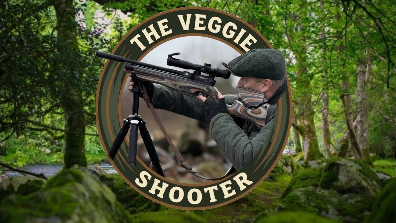 The Veggie Shooter ( BSA Lightning XL SE) #bsa