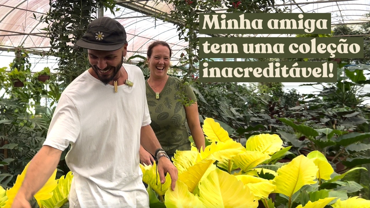 A coleção de plantas incrível da minha amiga Deborah
