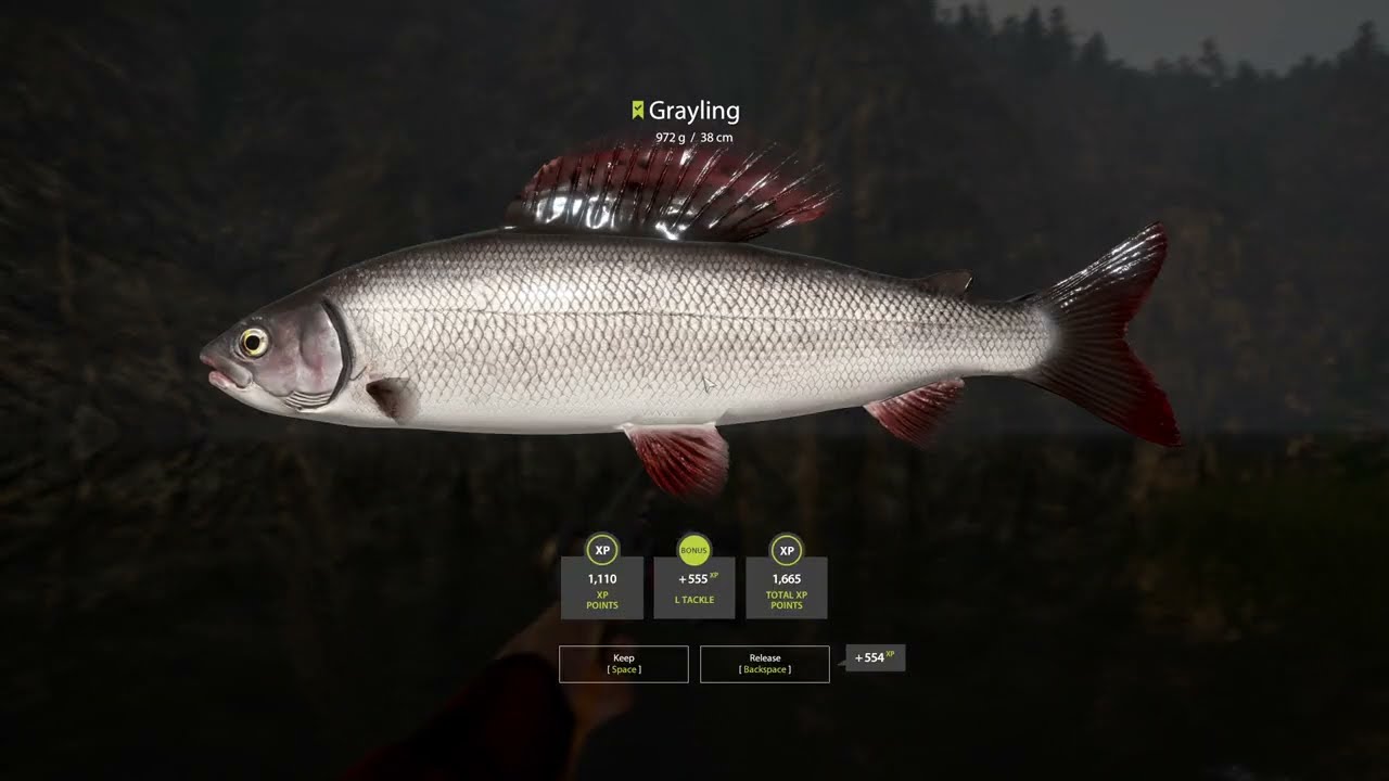 RF4 - Belaya River 200S/1HR