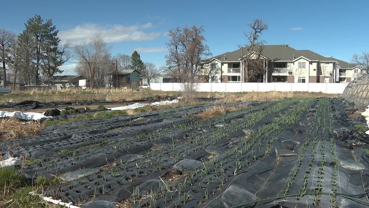 Recent storms have been of little help for Utah farmers