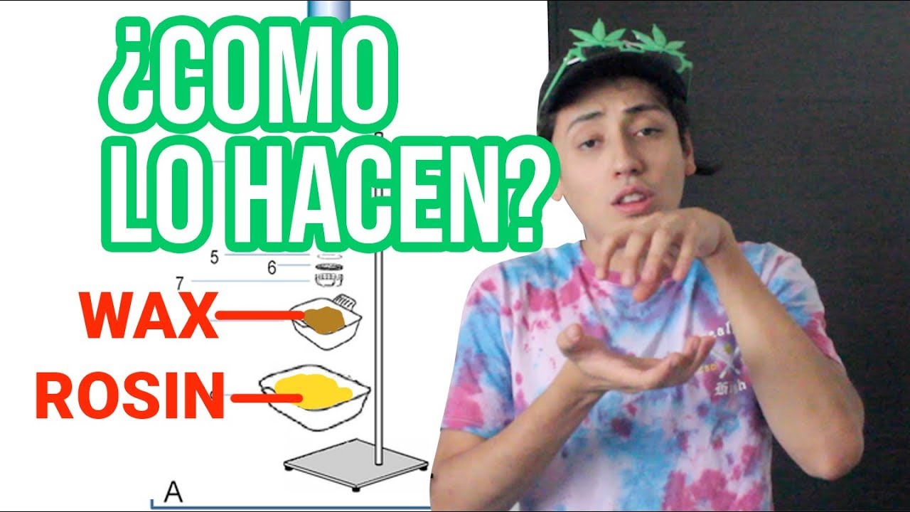 &iquest;QU&Eacute; ES EL WAX? Lo que debes saber