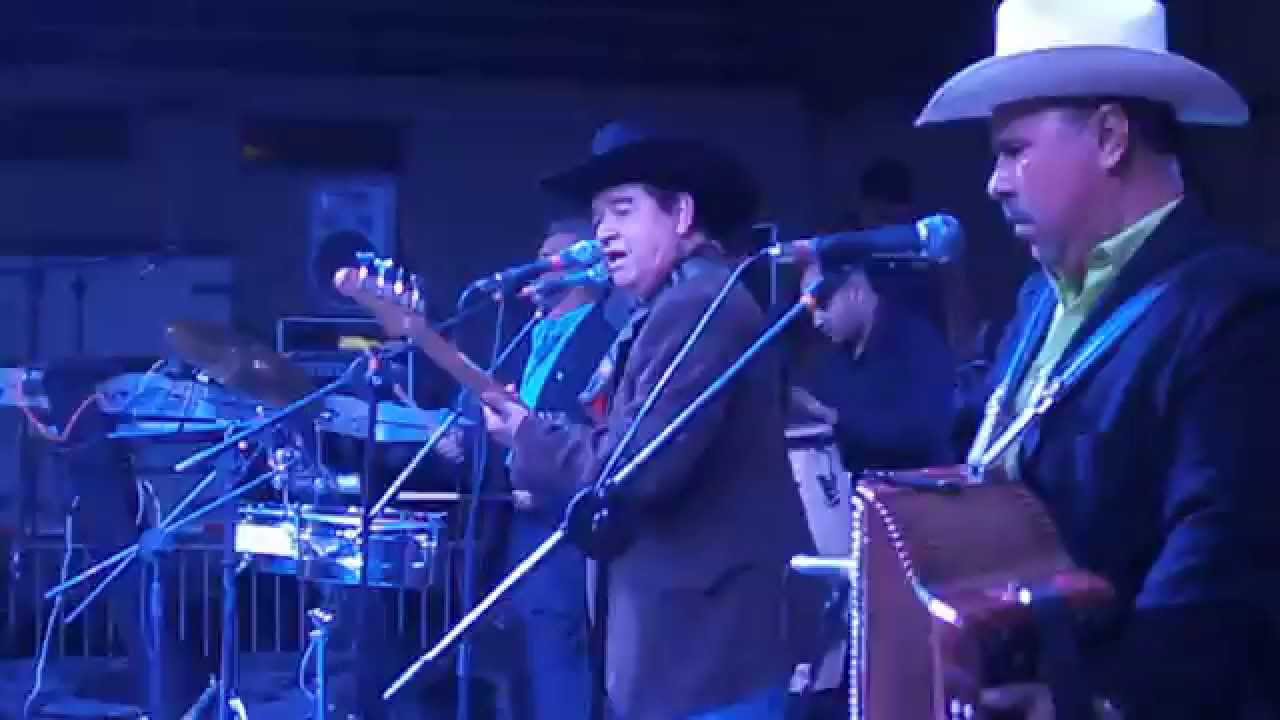 Pequeña Y Frágil. TROPICAL DEL BRAVO. en vivo 