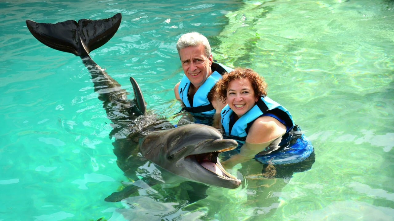 Amazing Cozumel Dolphin Encounter: Up Close and Personal.