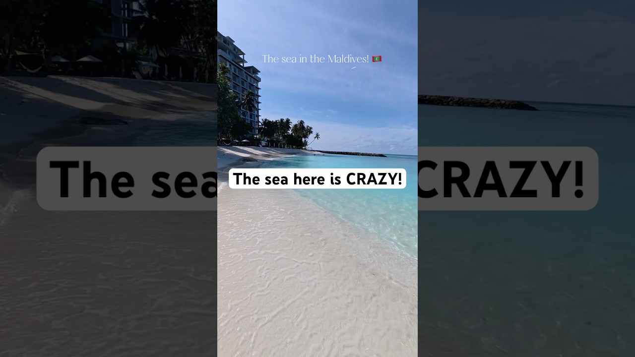 🤩🤩🤩 #travelvloggers #travel #beach #maldives #maldivesonabudget #thulusdhoo #maldivestravel