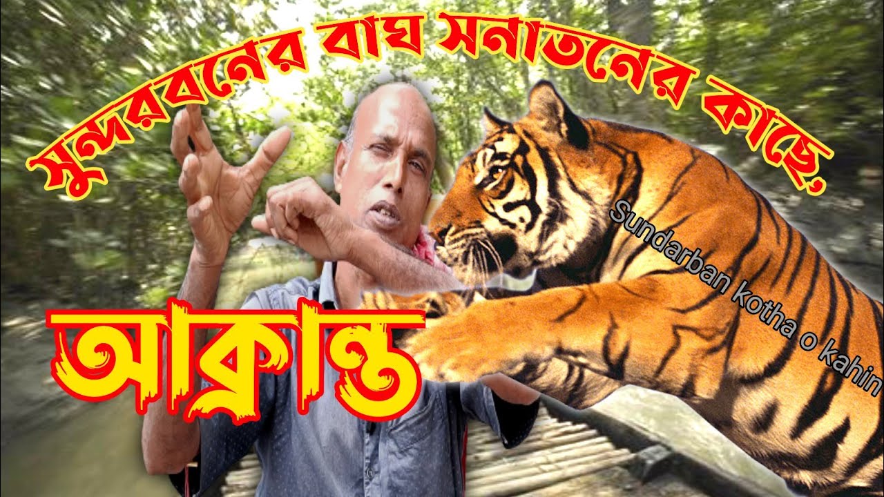 সুন্দরবনের বাঘের গলা ধরে নদীর জলে ফেলে দিলাম।@tiger attack|@Sundarban tiger attack।@সনাতন মন্ডল2023