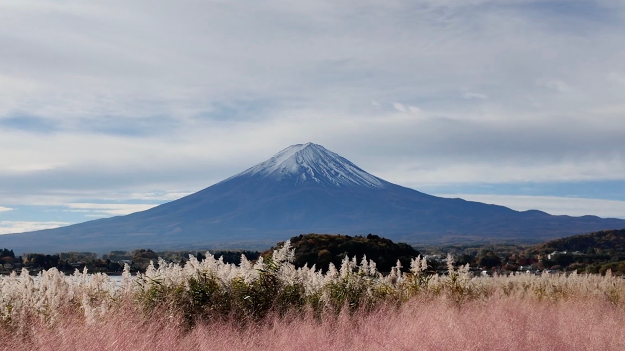 【富士山×紅葉】三湖で出会う秋の絶景 | 精進湖・西湖・河口湖