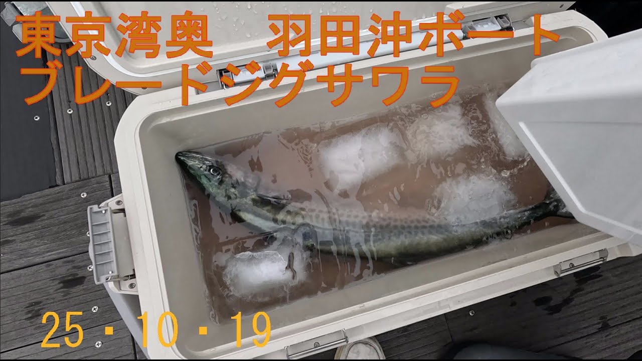 20251019東京湾奥羽田沖ボートサワラ