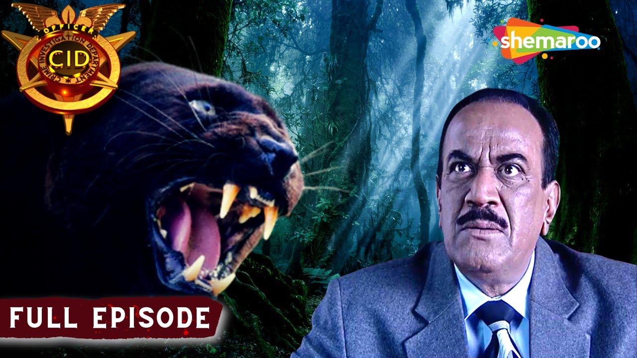 क्या CID Team का सामना होगा एक Panthor से | CID | सी.आई.डी | 09 January 2024