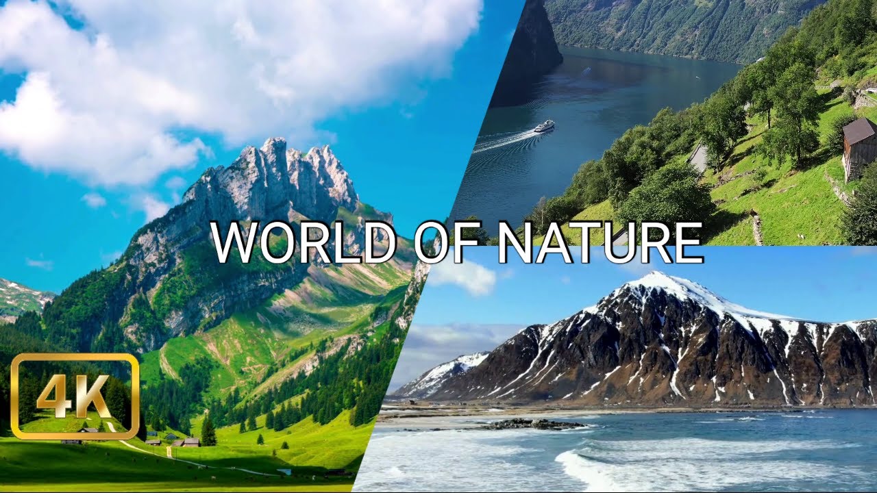 World Nature Beauty – A Moment of Calm | Relaxing Nature Ambience (4K)